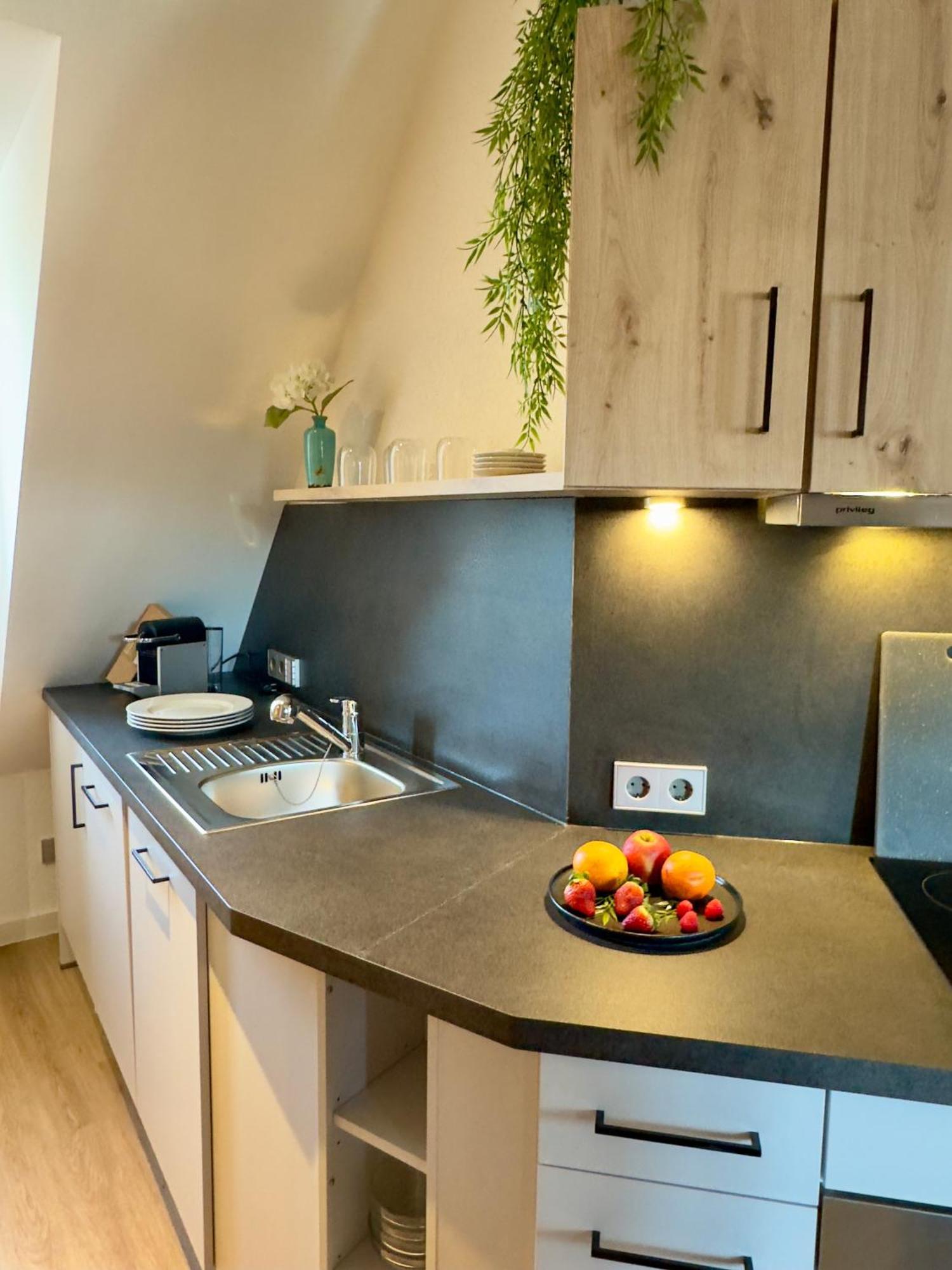 Living & Serviced Apartments By Blauer Wolf Гунценхаузен Экстерьер фото