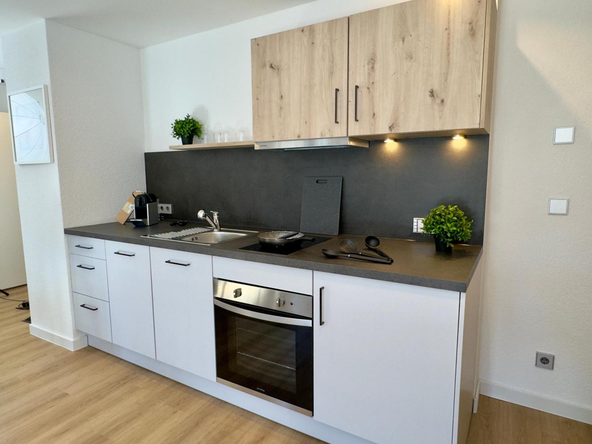 Living & Serviced Apartments By Blauer Wolf Гунценхаузен Экстерьер фото